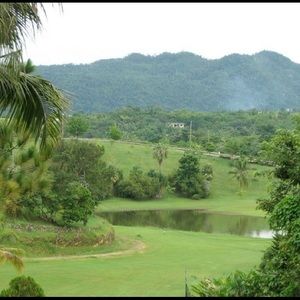 Meet your Posher, Nadine